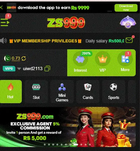 zs999 game